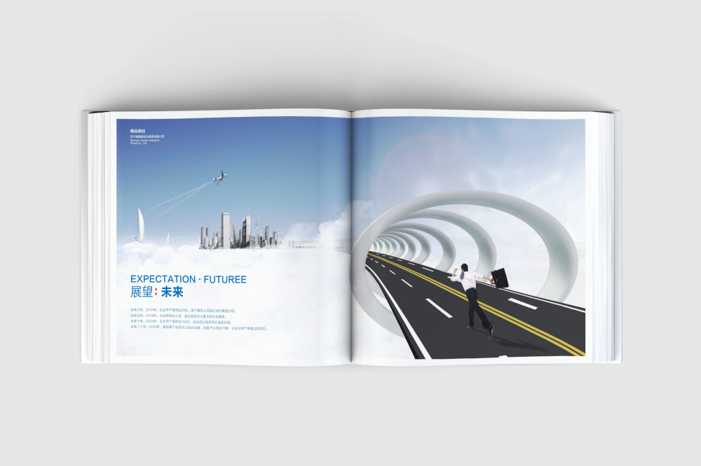 新蔡县画册设计